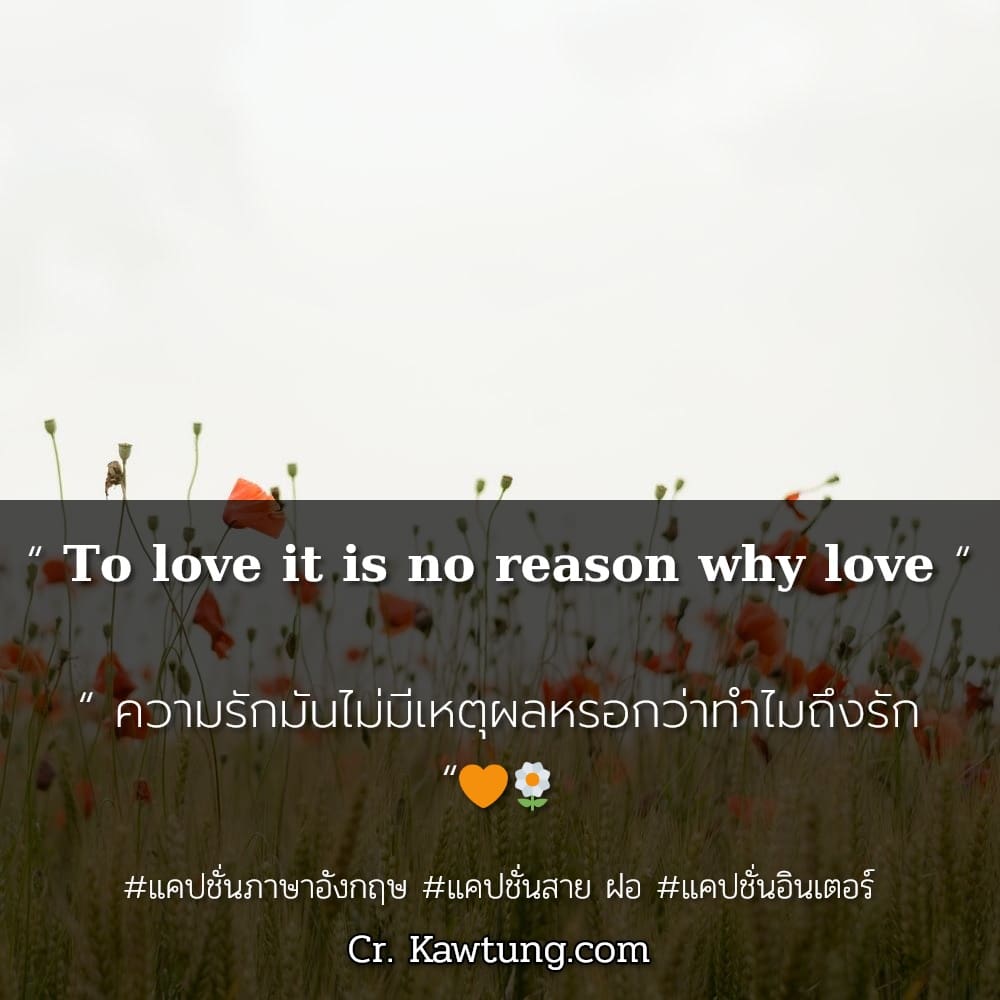 แคปชั่นภาษาอังกฤษ “ 𝐓𝐨 𝐥𝐨𝐯𝐞 𝐢𝐭 𝐢𝐬 𝐧𝐨 𝐫𝐞𝐚𝐬𝐨𝐧 𝐰𝐡𝐲 𝐥𝐨𝐯𝐞 “

“ ความรักมันไม่มีเหตุผลหรอกว่าทำไมถึงรัก “🧡🌼


