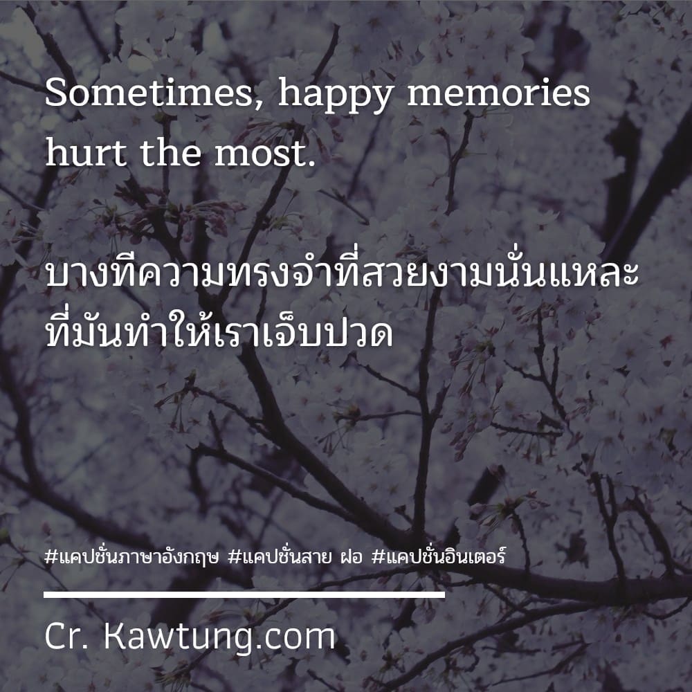 แคปชั่นภาษาอังกฤษ Sometimes, happy memories hurt the most.

บางทีความทรงจำที่สวยงามนั่นแหละ ที่มันทำให้เราเจ็บปวด

