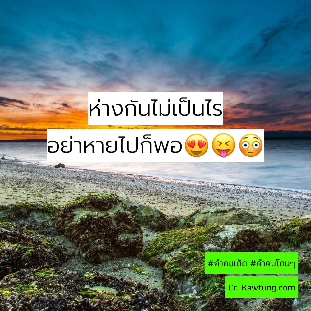 สเตตัสคําคมในวงเหล้า จากชาว Facebook