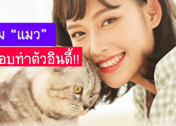 ทาสแมวควรรู้ใจ “ทำไมแมวแสนรักของคุณถึงชอบทำตัวอินดี้?”