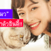 ทาสแมวควรรู้ใจ “ทำไมแมวแสนรักของคุณถึงชอบทำตัวอินดี้?”