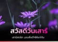 Happy Saturday สวัสดีวันเสาร์