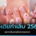 ไอเดียทำเล็บ 2565