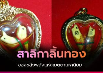 เสริมเสน่ห์ด้วย สาลิกาลิ้นทอง