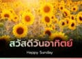สวัสดีวันอาทิตย์ รูปภาพสวัสดีแทนความห่วงใย สดใสทุกเช้า เดือนมีนาคม 2565