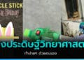 ไอเดียทำ สิ่งประดิษฐ์วิทยาศาสตร์ ทำโครงงานวิทยาศาสตร์สุดเก๋