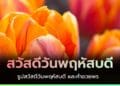 สวัสดีวันพฤหัสบดี สดใส พร้อมรูปดอกไม้ ธรรมชาติ