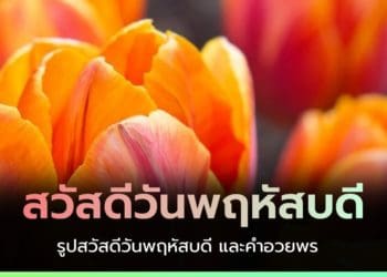 สวัสดีวันพฤหัสบดี สดใส พร้อมรูปดอกไม้ ธรรมชาติ