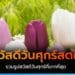 สวัสดีวันศุกร์ สดใส รูปดอกไม้ธรรมชาติสวยๆ