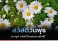 สวัสดีวันพุธ คิดถึง ด้วยรูปสวัสดีวันพุธสดใส