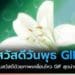 รูปสวัสดีวันพุธ gif ภาพเคลื่อนไหว