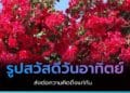 รูปวันอาทิตย์ สวัสดีวันอาทิตย์ สดใส