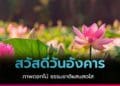 สวัสดีตอนเช้าวันอังคาร ดอกไม้และธรรมชาติ