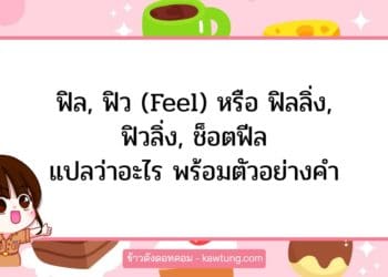 ฟิล, ฟิว (Feel) หรือ ฟิลลิ่ง, ฟิวลิ่ง, ช็อตฟีล แปลว่าอะไร