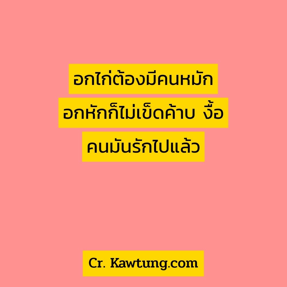 อกไก่ต้องมีคนหมัก อกหักก็ไม่เข็ดค้าบ งื้อ คนมันรักไปแล้ว