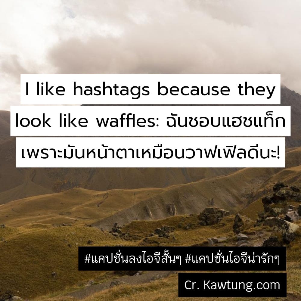 I like hashtags because they look like waffles: ฉันชอบแฮชแท็ก เพราะมันหน้าตาเหมือนวาฟเฟิลดีนะ!
