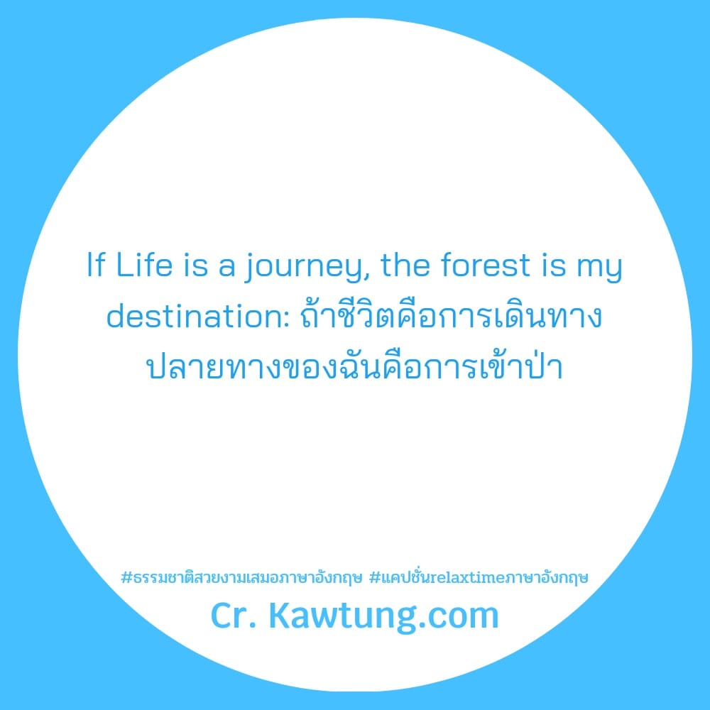 ธรรมชาติสวยงามเสมอภาษาอังกฤษ แคปชั่นrelaxtimeภาษาอังกฤษ If Life is a journey, the forest is my destination: ถ้าชีวิตคือการเดินทาง ปลายทางของฉันคือการเข้าป่า