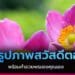 สวัสดีตอนเช้า