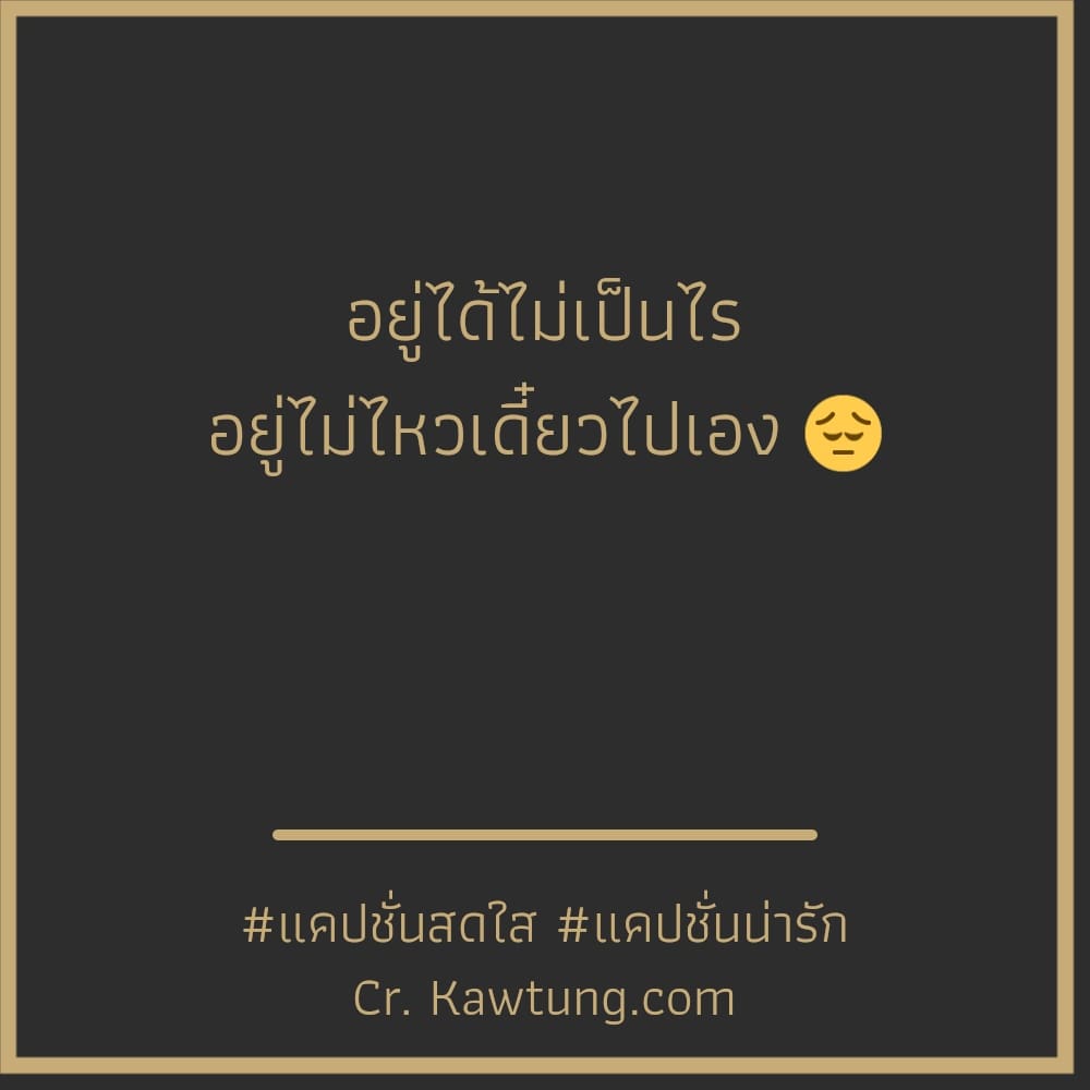 อยู่ได้ไม่เป็นไร อยู่ไม่ไหวเดี๋ยวไปเอง 😔