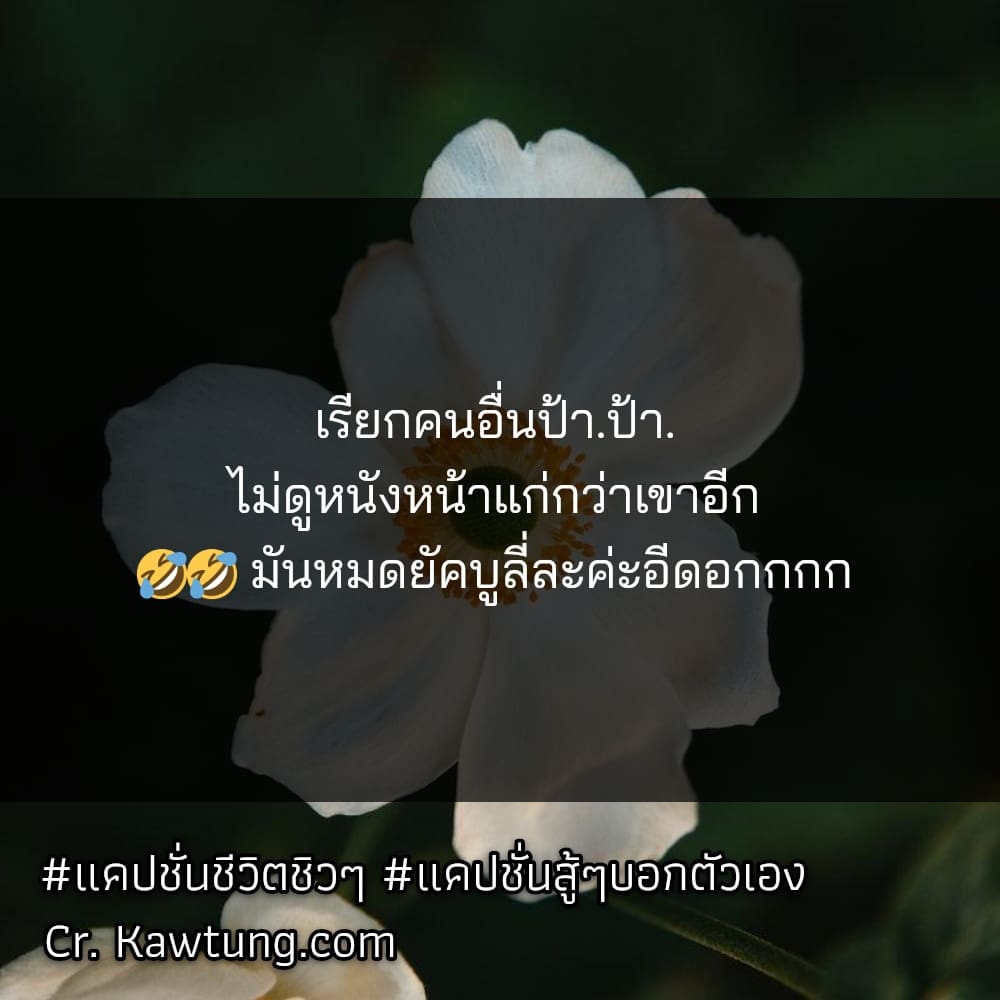 แคปชั่นชีวิตชิวๆ แคปชั่นสู้ๆบอกตัวเอง เรียกคนอื่นป้า.ป้า. ไม่ดูหนังหน้าแก่กว่าเขาอีก 🤣🤣 มันหมดยัคบูลี่ละค่ะอีดอกกกก