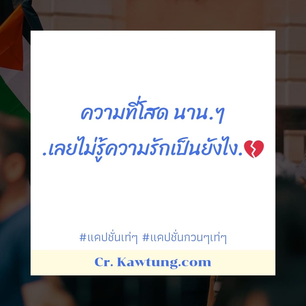 ความที่โสด นาน.ๆ .เลยไม่รู้ความรักเป็นยังไง.💔