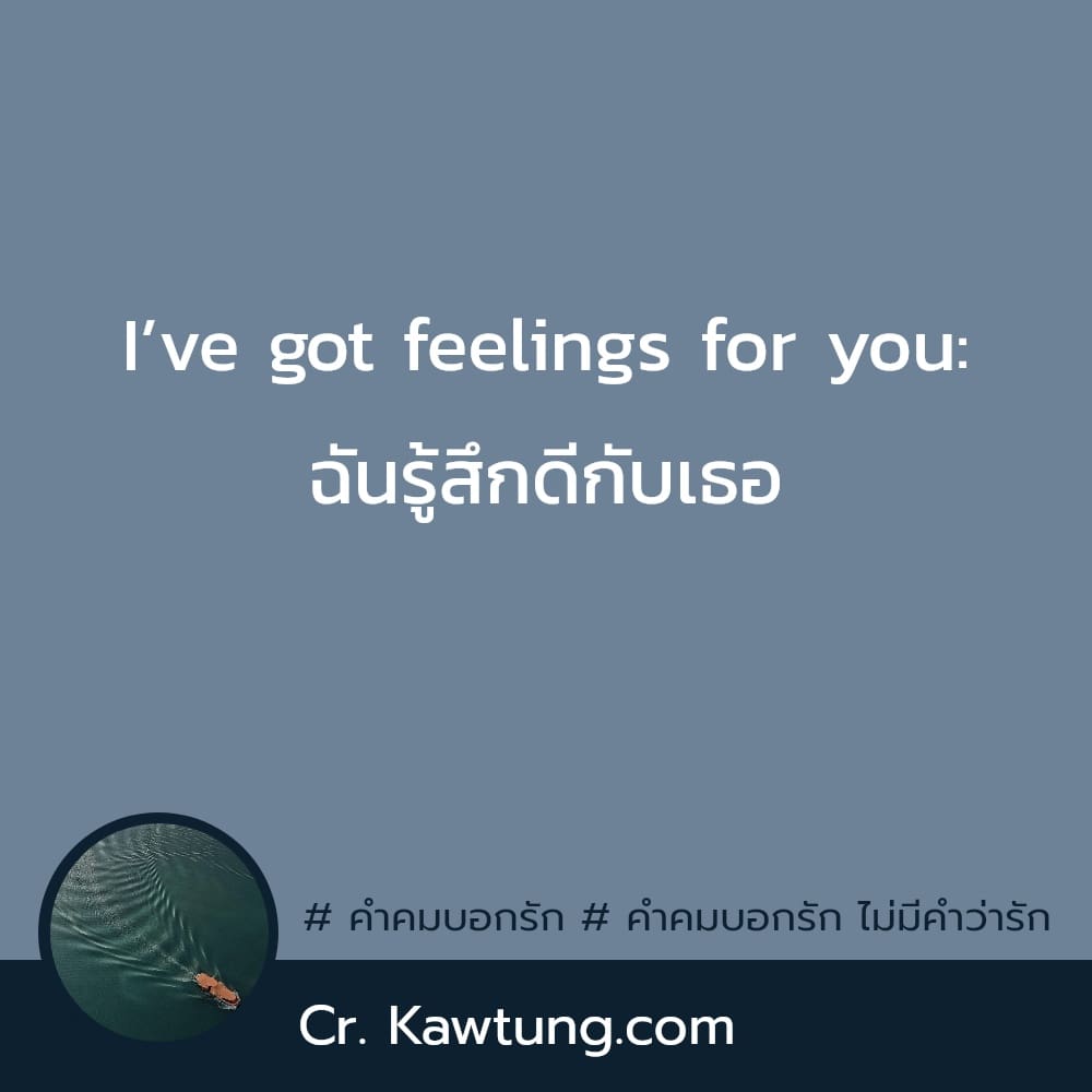 I’ve got feelings for you: ฉันรู้สึกดีกับเธอ