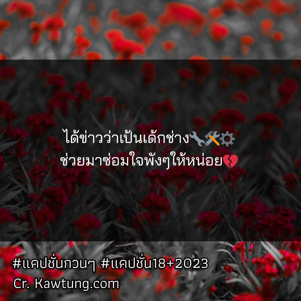 แคปชั่นกวนๆ แคปชั่น18+2023 ได้ข่าวว่าเป้นเด้กช่าง🔧🛠⚙️ ช่วยมาซ่อมใจพังๆให้หน่อย💔