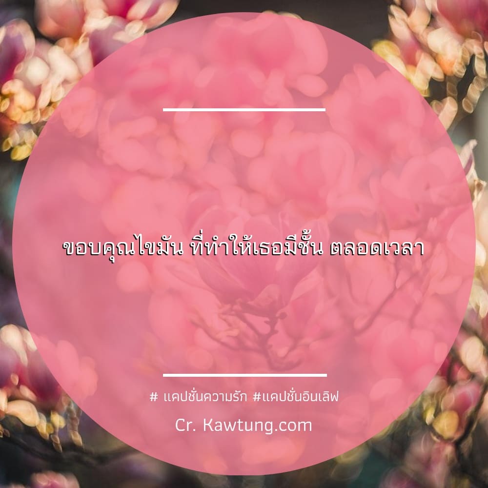 ขอบคุณไขมัน ที่ทำให้เธอมีชั้น ตลอดเวลา