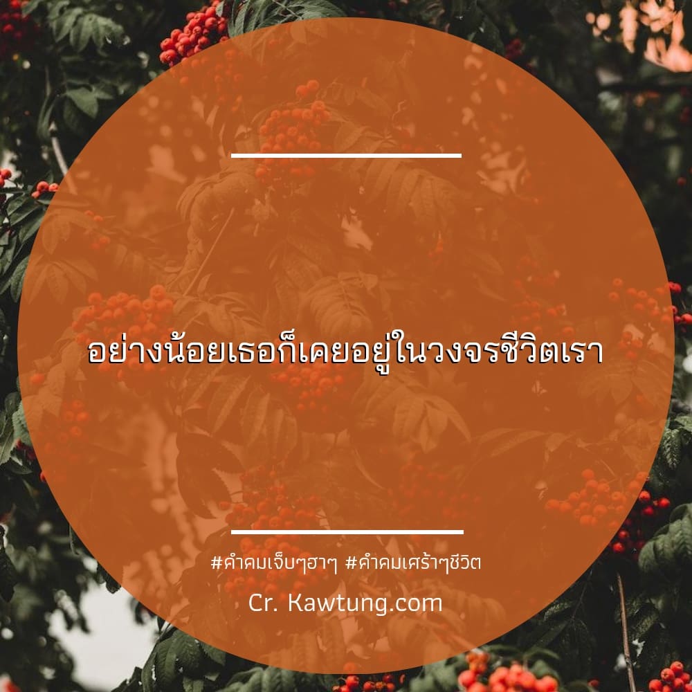 คําคมเจ็บๆฮาๆ คำคมเศร้าๆชีวิต อย่างน้อยเธอก็เคยอยู่ในวงจรชีวิตเรา