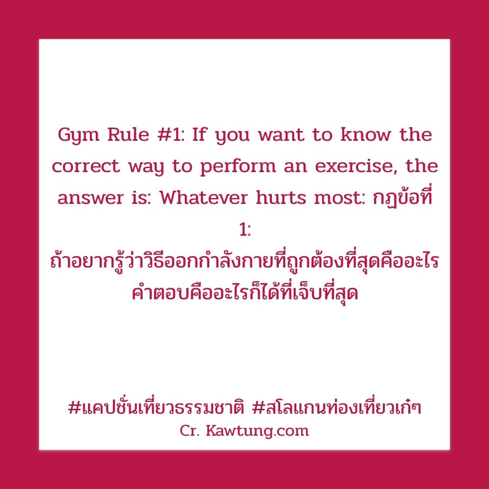 แคปชั่นเที่ยวธรรมชาติ สโลแกนท่องเที่ยวเก๋ๆ Gym Rule #1: If you want to know the correct way to perform an exercise, the answer is: Whatever hurts most: กฏข้อที่ 1: ถ้าอยากรู้ว่าวิธีออกกำลังกายที่ถูกต้