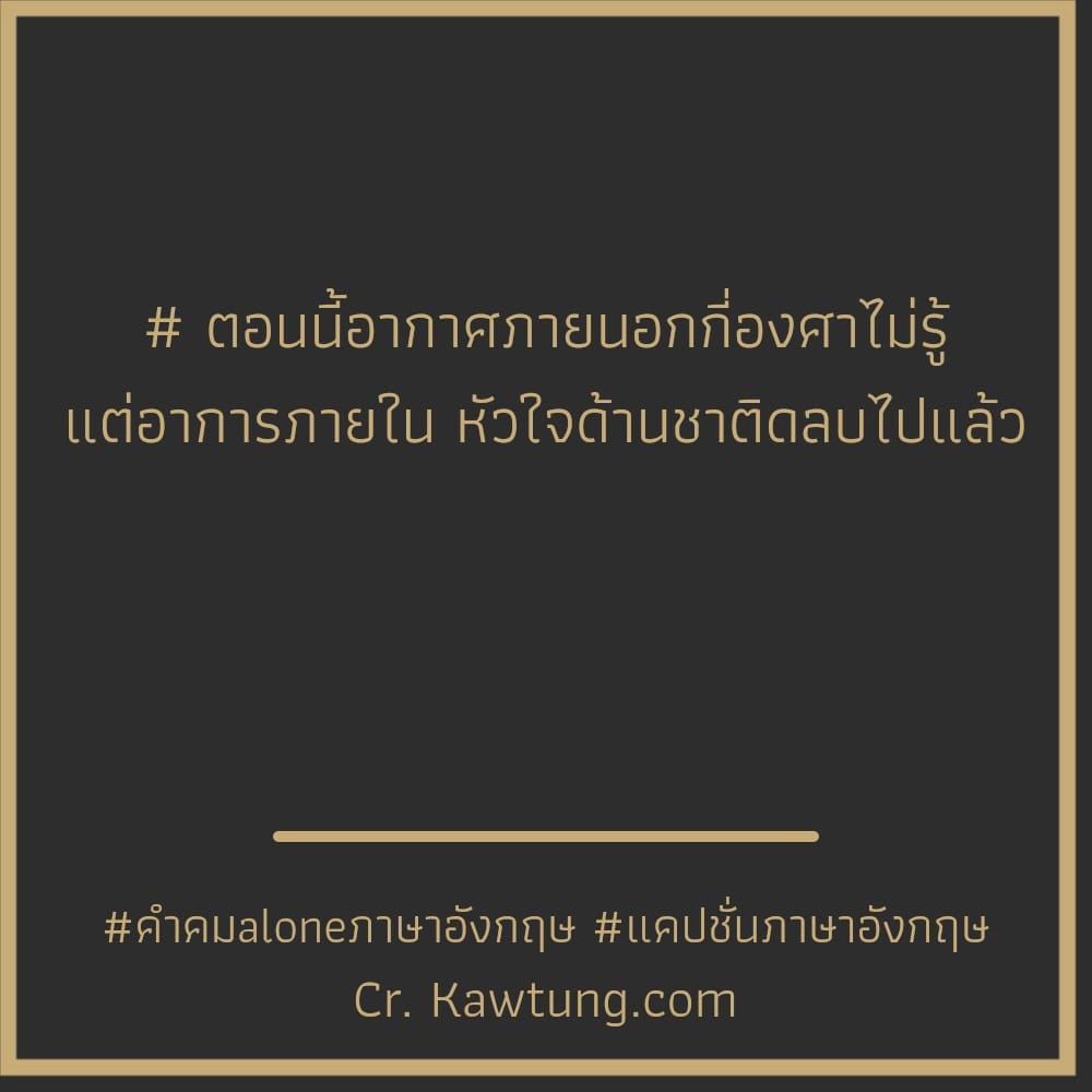 คําคมaloneภาษาอังกฤษ แคปชั่นภาษาอังกฤษ # ตอนนี้อากาศภายนอกกี่องศาไม่รู้ แต่อาการภายใน หัวใจด้านชาติดลบไปแล้ว