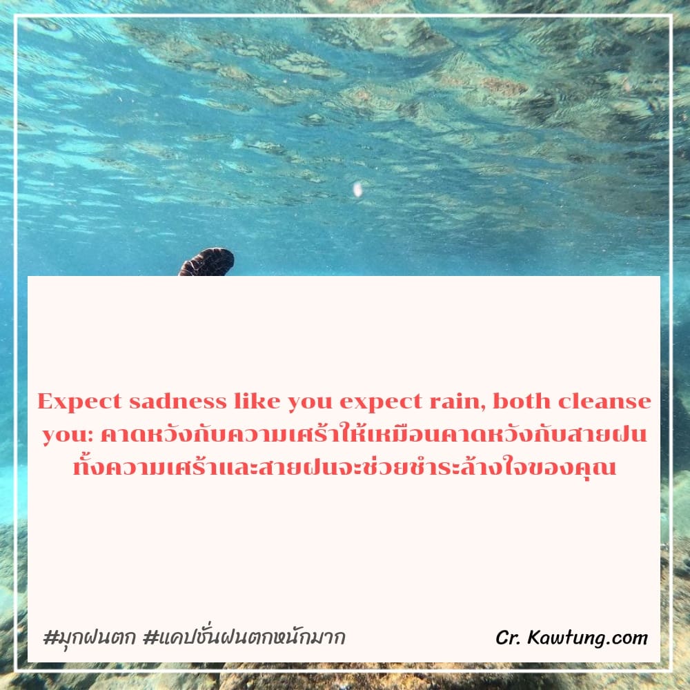 Expect sadness like you expect rain, both cleanse you: คาดหวังกับความเศร้าให้เหมือนคาดหวังกับสายฝน ทั้งความเศร้าและสายฝนจะช่วยชำระล้างใจของคุณ