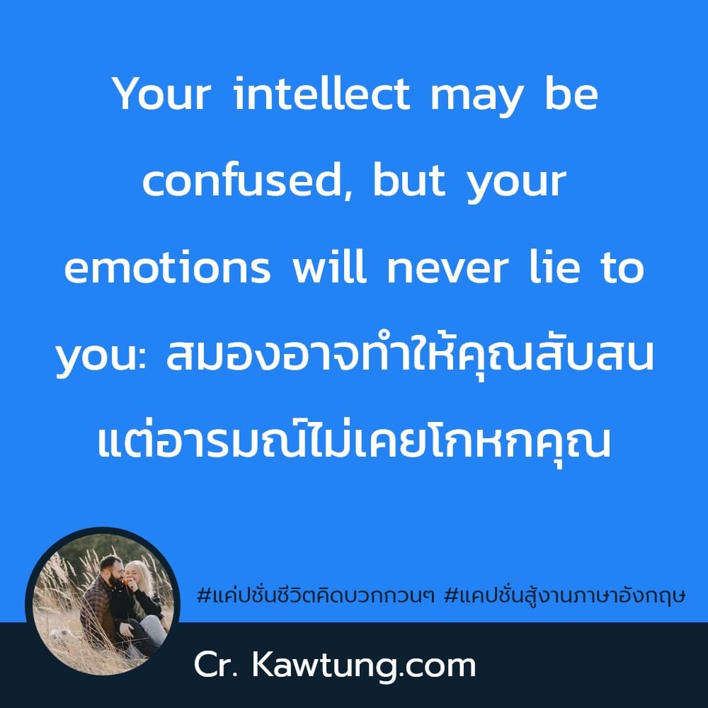 แค่ปชั่นชีวิตคิดบวกกวนๆ แคปชั่นสู้งานภาษาอังกฤษ Your intellect may be confused, but your emotions will never lie to you: สมองอาจทำให้คุณสับสน แต่อารมณ์ไม่เคยโกหกคุณ