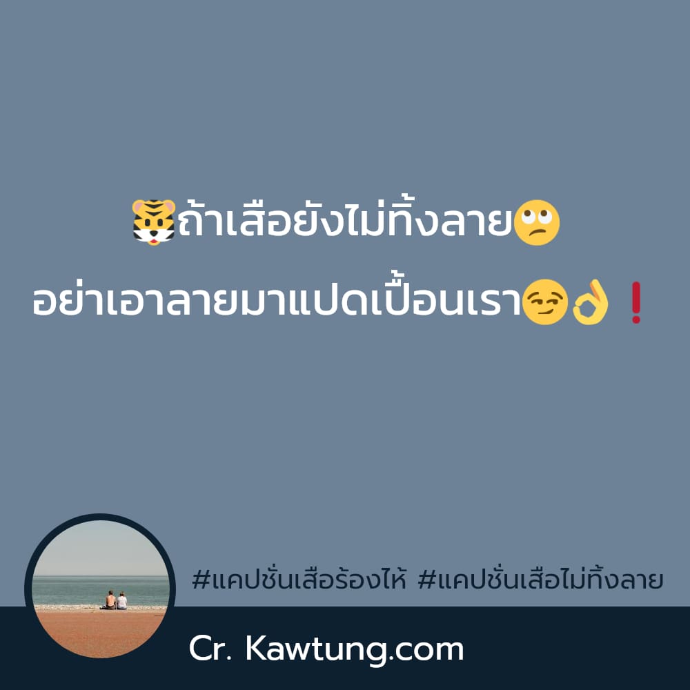 🐯ถ้าเสือยังไม่ทิ้งลาย🙄 อย่าเอาลายมาแปดเปื้อนเรา😏👌❗