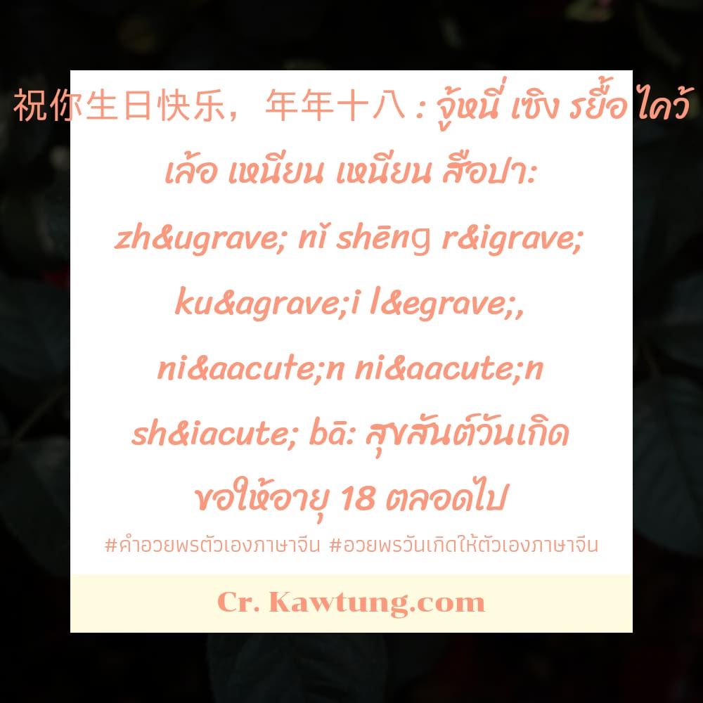 คําอวยพรตัวเองภาษาจีน อวยพรวันเกิดให้ตัวเองภาษาจีน 祝你生日快乐，年年十八 : จู้หนี่ เซิง รยื้อ ไคว้ เล้อ เหนียน เหนียน สือปา: zhù nǐ shēnɡ rì kuài lè, nián nián sh&iacut