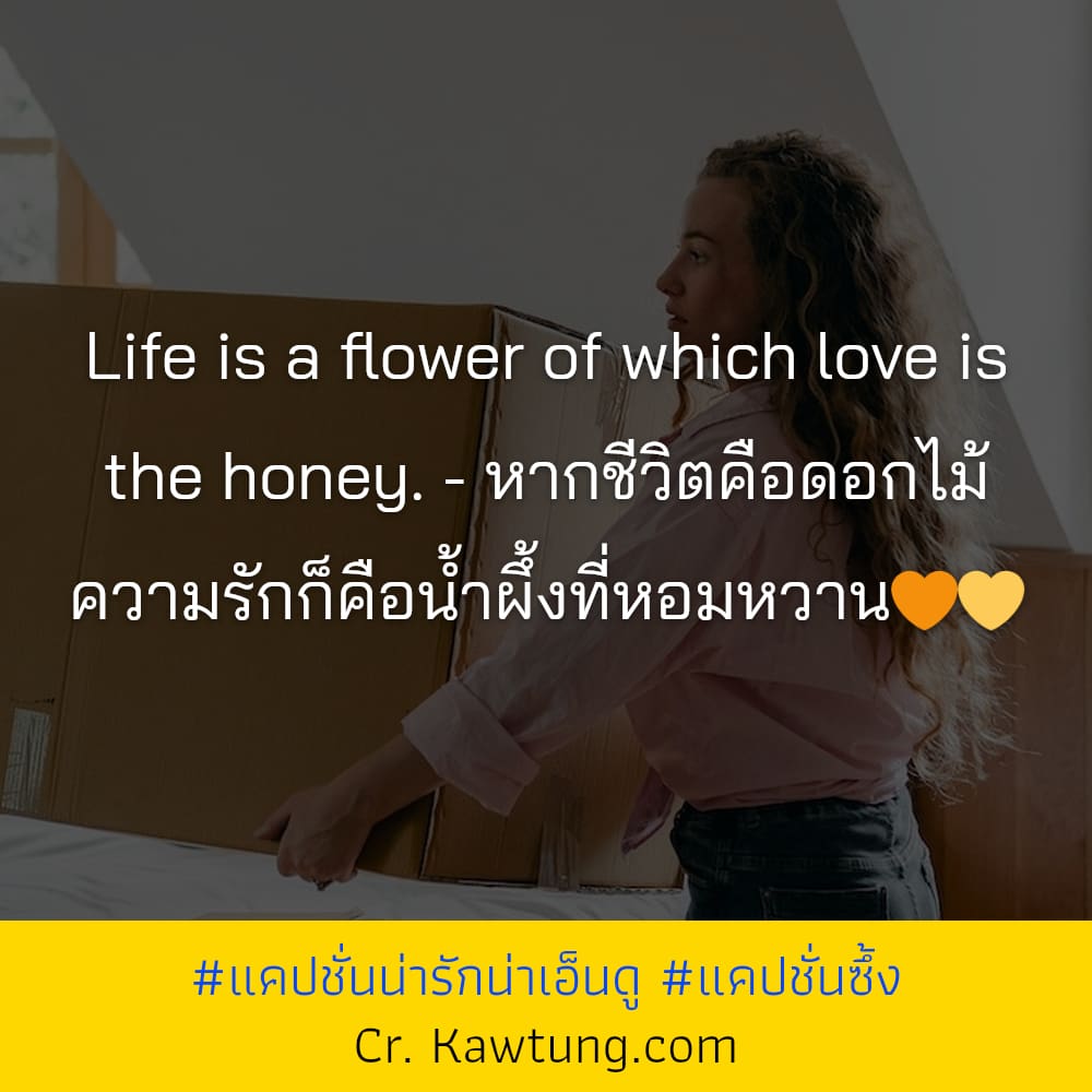 แคปชั่นน่ารักน่าเอ็นดู แคปชั่นซึ้ง Life is a flower of which love is the honey. - หากชีวิตคือดอกไม้ ความรักก็คือน้ำผึ้งที่หอมหวาน🧡💛