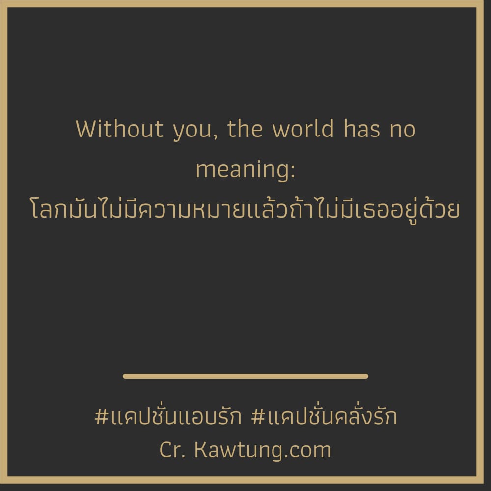 แคปชั่นแอบรัก แคปชั่นคลั่งรัก Without you, the world has no meaning: โลกมันไม่มีความหมายแล้วถ้าไม่มีเธออยู่ด้วย