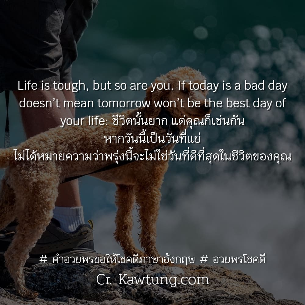  คำอวยพรขอให้โชคดีภาษาอังกฤษ  อวยพรโชคดี Life is tough, but so are you. If today is a bad day doesn’t mean tomorrow won’t be the best day of your life: ชีวิตนั้นยาก แต่คุณก็เช่นกัน หากวันนี้เป็นวันที่