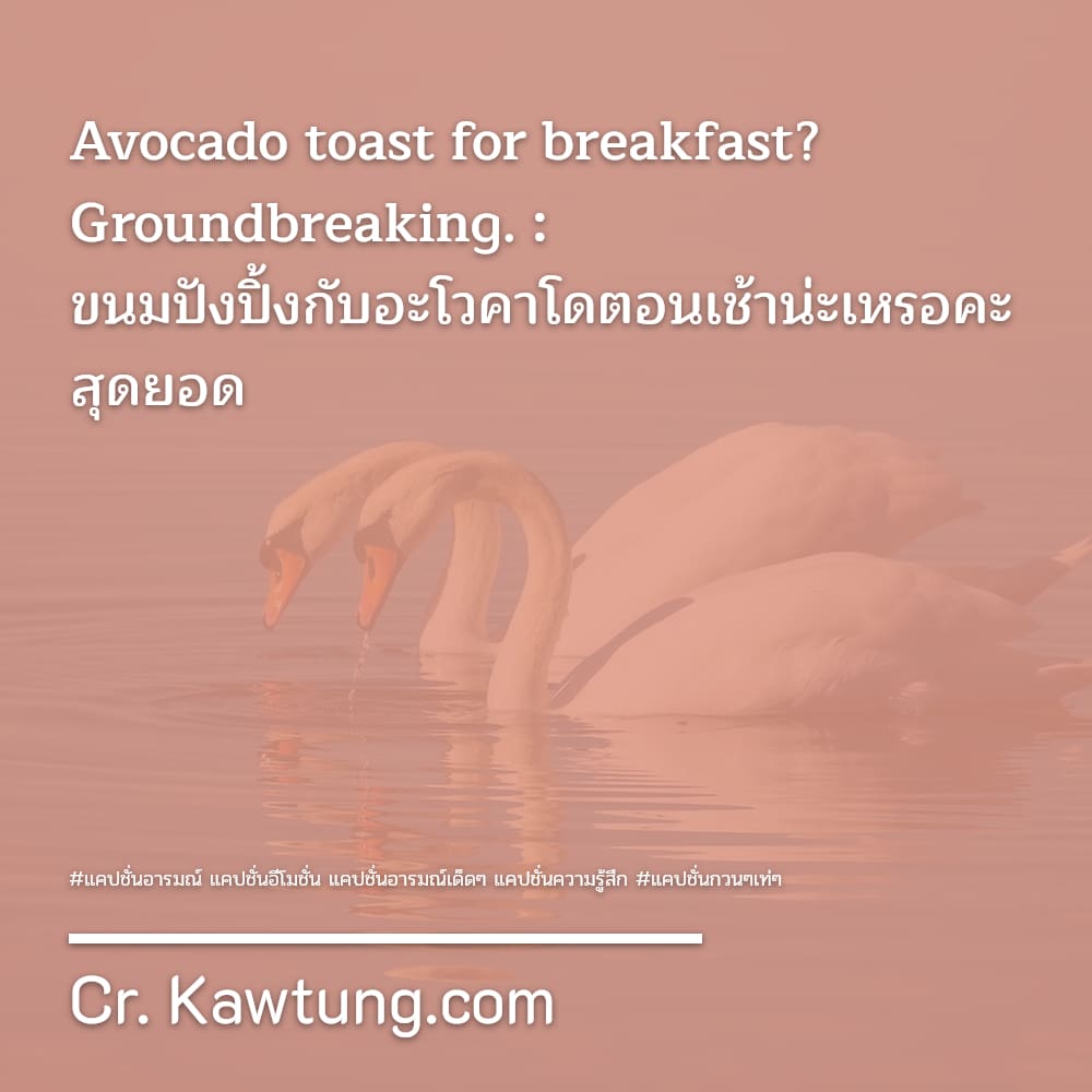 แคปชั่นอารมณ์ แคปชั่นอีโมชั่น แคปชั่นอารมณ์เด็ดๆ แคปชั่นความรู้สึก แคปชั่นกวนๆเท่ๆ Avocado toast for breakfast? Groundbreaking. : ขนมปังปิ้งกับอะโวคาโดตอนเช้าน่ะเหรอคะ สุดยอด