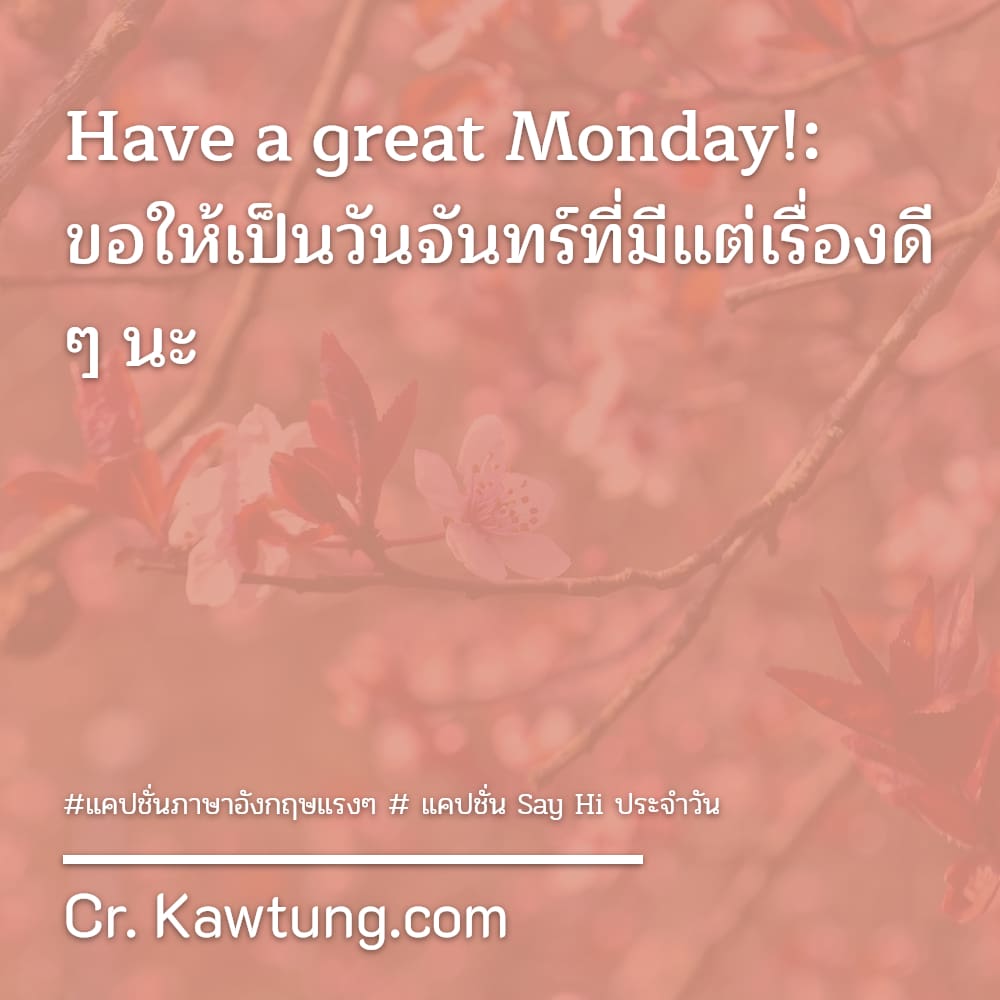 แคปชั่นภาษาอังกฤษแรงๆ  แคปชั่น Say Hi ประจำวัน Have a great Monday!: ขอให้เป็นวันจันทร์ที่มีแต่เรื่องดี ๆ นะ