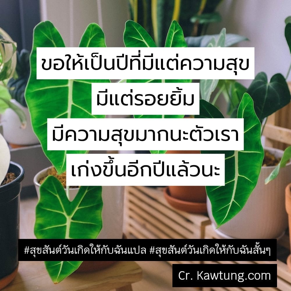 สุขสันต์วันเกิดให้กับฉันแปล สุขสันต์วันเกิดให้กับฉันสั้นๆ ขอให้เป็นปีที่มีแต่ความสุข มีแต่รอยยิ้ม มีความสุขมากนะตัวเรา เก่งขึ้นอีกปีแล้วนะ