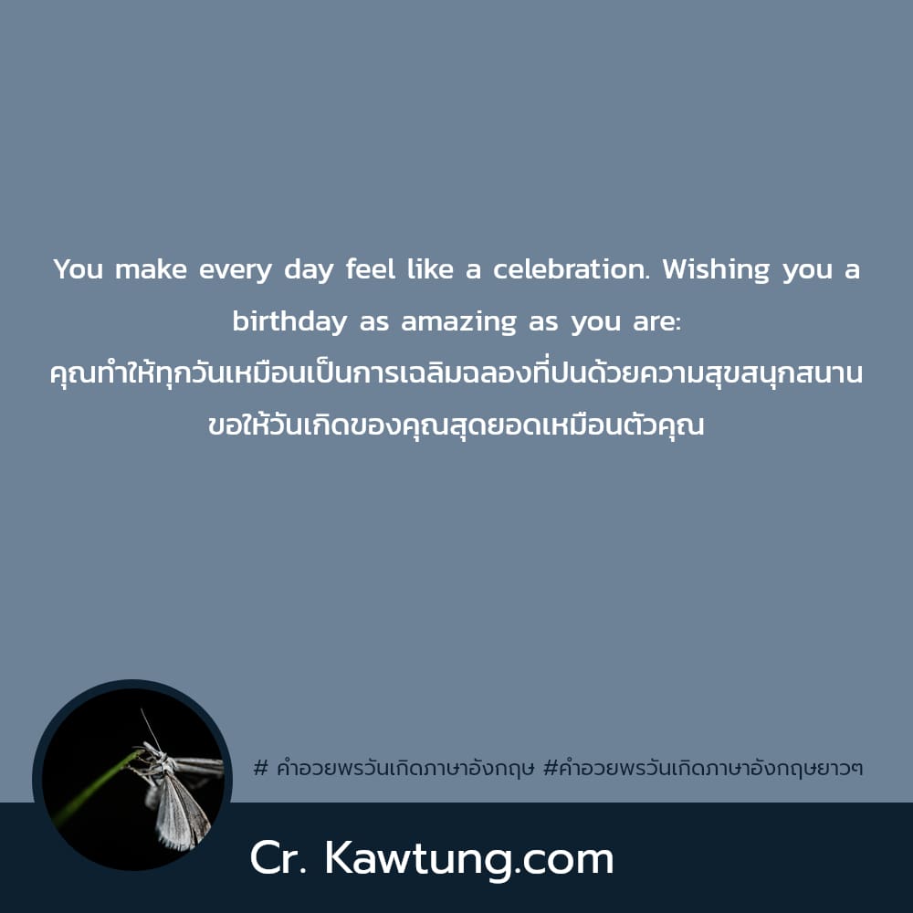 You make every day feel like a celebration. Wishing you a birthday as amazing as you are: คุณทำให้ทุกวันเหมือนเป็นการเฉลิมฉลองที่ปนด้วยความสุขสนุกสนาน ขอให้วันเกิดของคุณสุดยอดเหมือนตัวคุณ