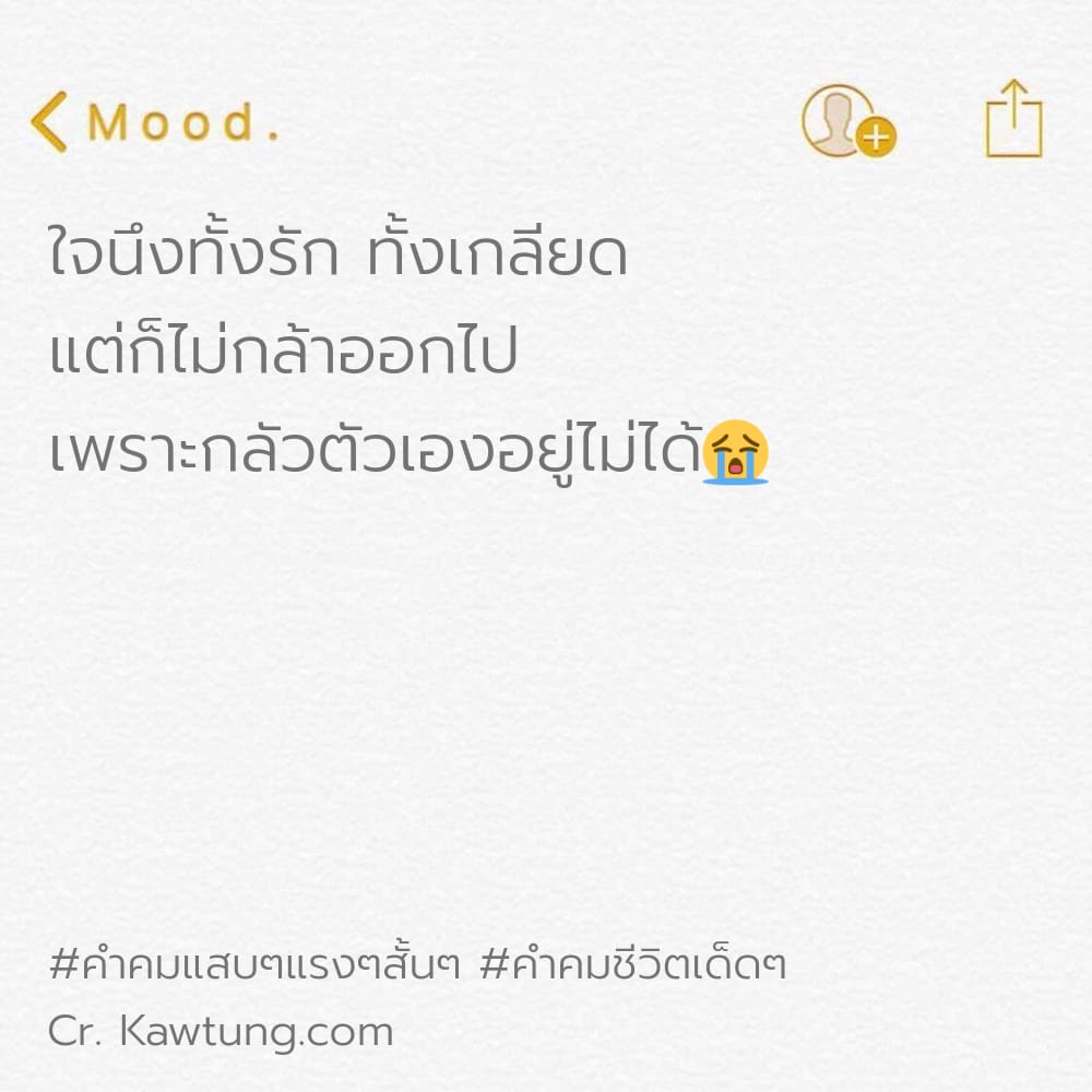 คําคมแสบๆแรงๆสั้นๆ คำคมชีวิตเด็ดๆ ใจนึงทั้งรัก ทั้งเกลียด แต่ก็ไม่กล้าออกไป เพราะกลัวตัวเองอยู่ไม่ได้😭