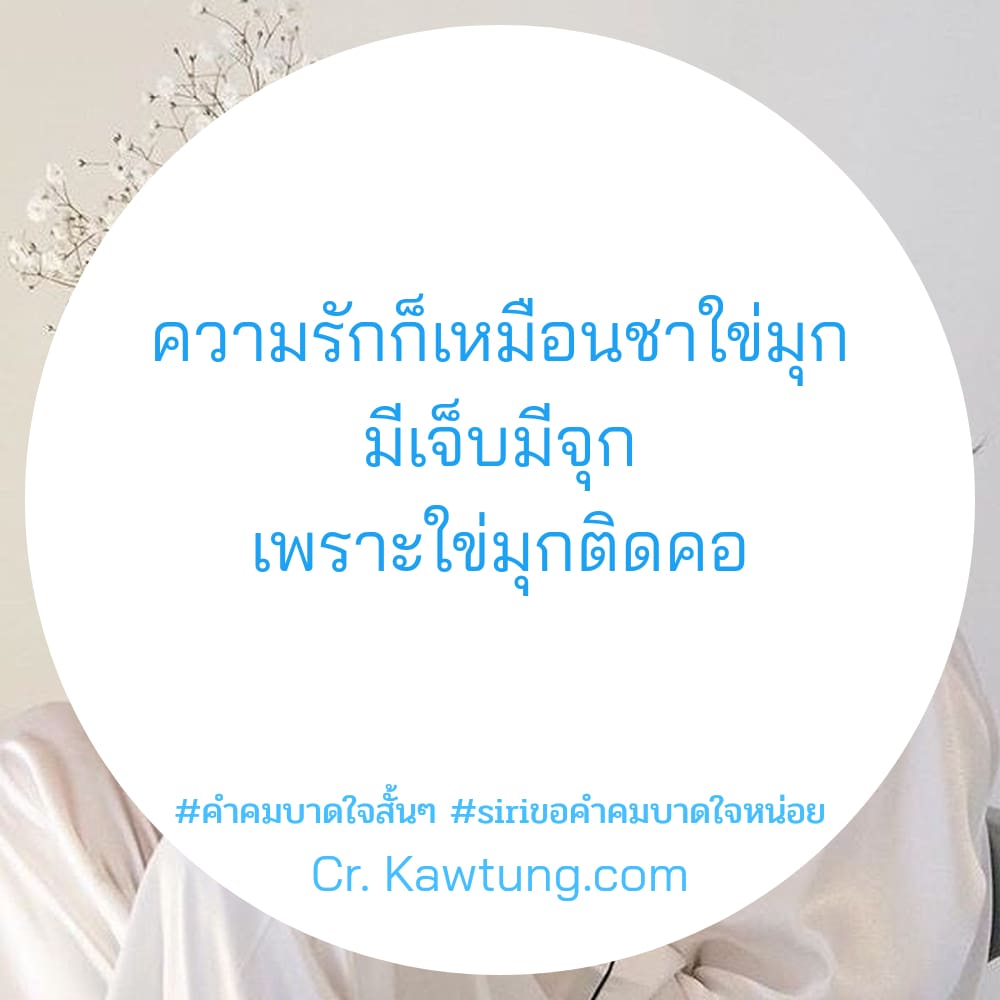 คําคมบาดใจสั้นๆ siriขอคำคมบาดใจหน่อย ความรักก็เหมือนชาใข่มุก มีเจ็บมีจุก เพราะใข่มุกติดคอ