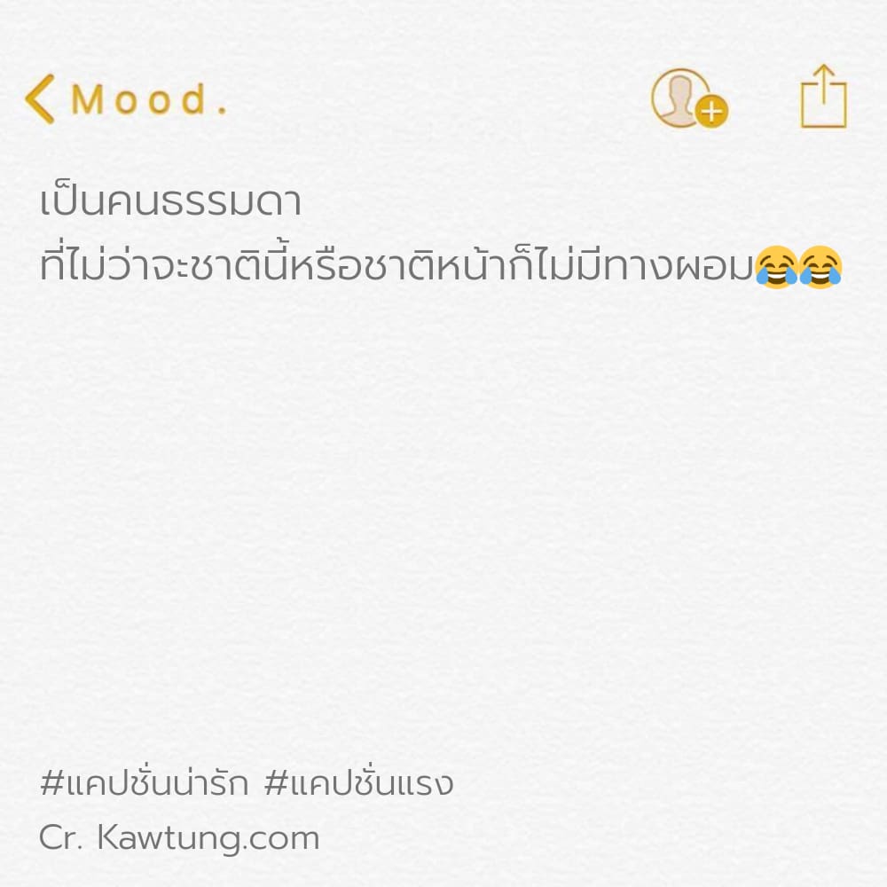 เป็นคนธรรมดา ที่ไม่ว่าจะชาตินี้หรือชาติหน้าก็ไม่มีทางผอม😂😂