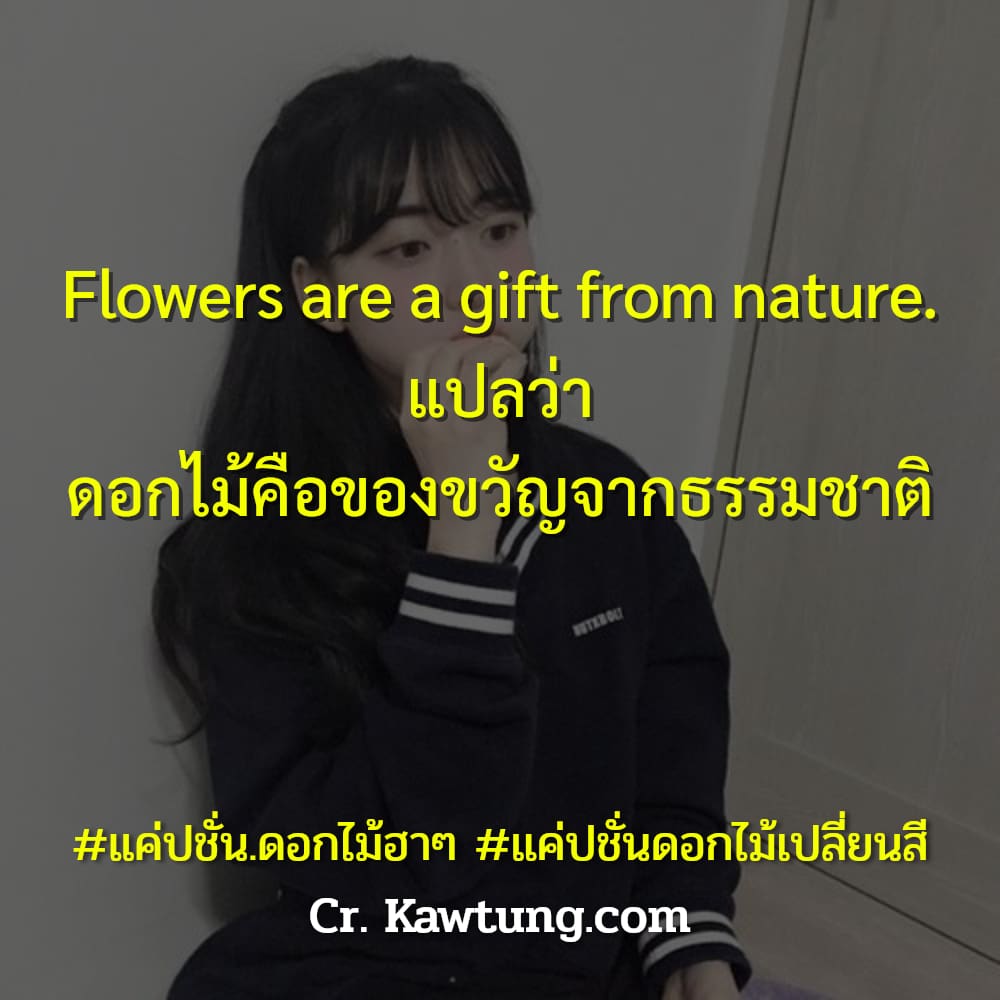 แค่ปชั่น.ดอกไม้ฮาๆ แค่ปชั่นดอกไม้เปลี่ยนสี Flowers are a gift from nature. แปลว่า ดอกไม้คือของขวัญจากธรรมชาติ