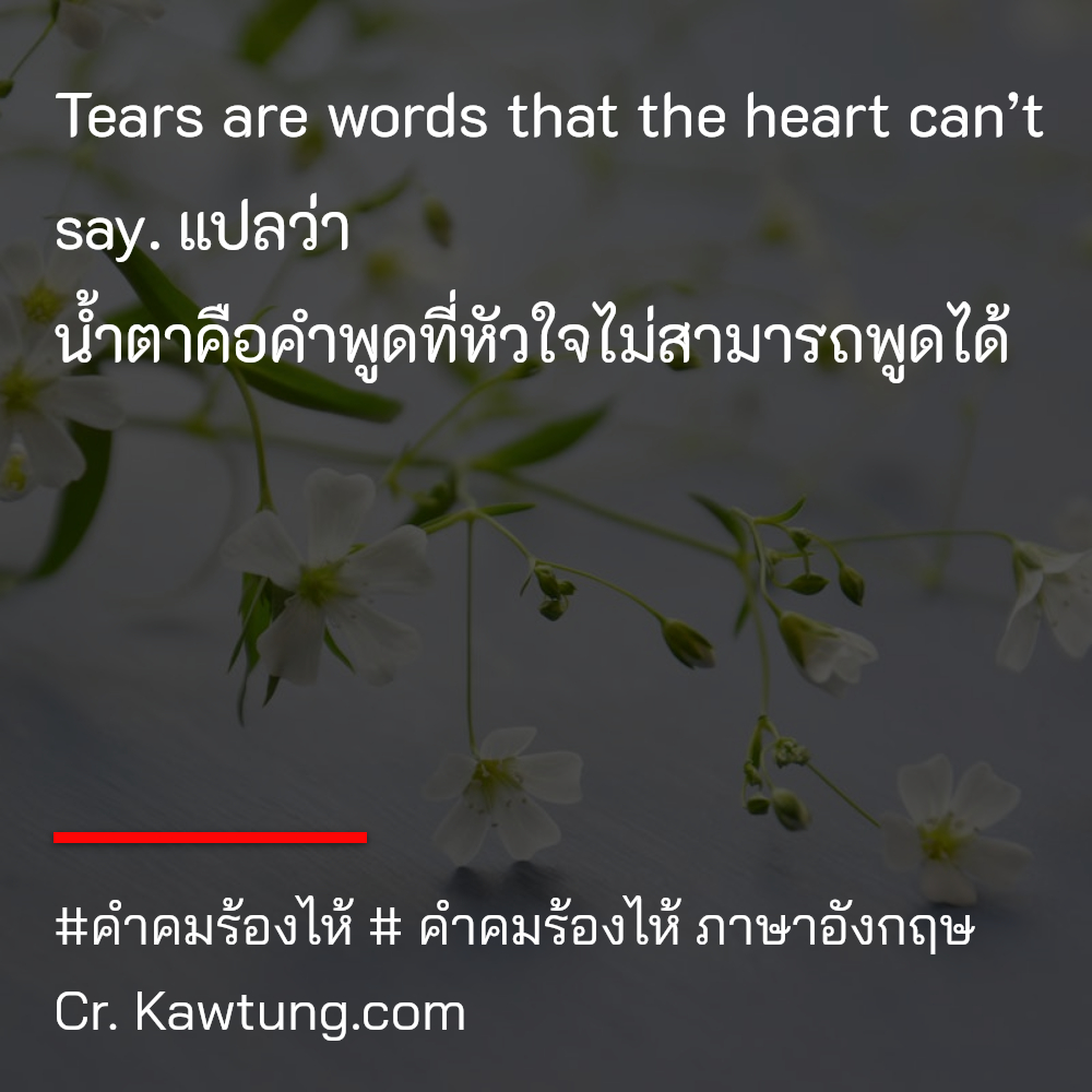 Tears are words that the heart can’t say. แปลว่า น้ำตาคือคำพูดที่หัวใจไม่สามารถพูดได้