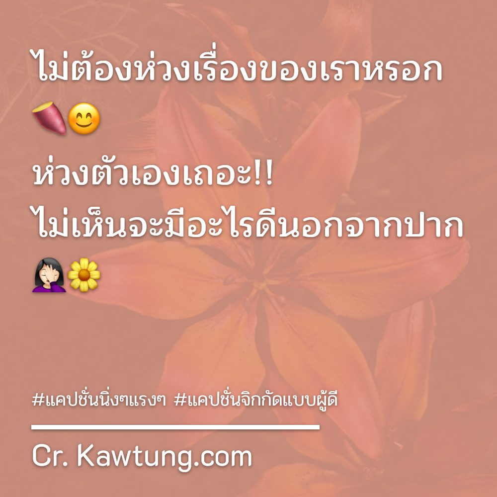 🎫 สเตตัสแค่ปชั่น.ด่าแล้วสะเทือน จากชาว Pinterest