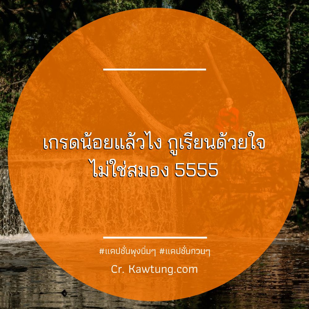 💛 แคปชั่นอ่อยกวนๆ แคปชั่นสวยๆแพงๆ ต้องแชร์แน่นอน