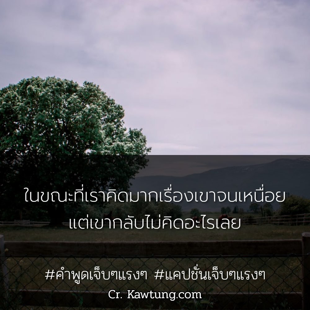 🕔 คำคมเจ็บๆ จาก Pinterest